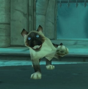 image_of_mr_bigglesworth image_of_mr_bigglesworth