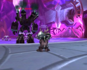 WoW_MoonkinFun1 WoW_MoonkinFun1