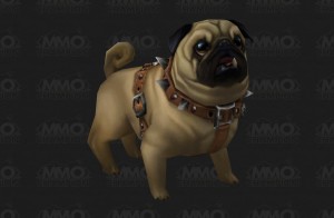 pug