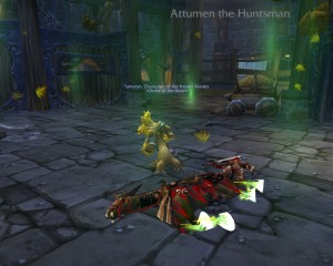 WoW_TamarynVsAttumen